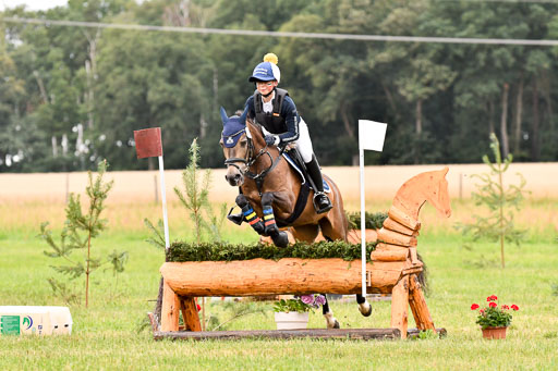 Goldene Schärpe Ponys in Hohenberg Krusemark 2024 | 13072024 Gelände 1 Abt_028 