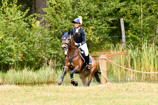 Goldene Schärpe Ponys in Hohenberg Krusemark 2024 | 13072024 Gelände 1 Abt_031 