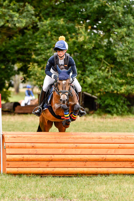 Goldene Schärpe Ponys in Hohenberg Krusemark 2024 | 13072024 Gelände 1 Abt_037 