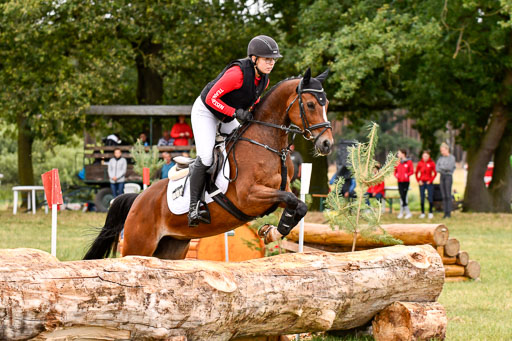 Goldene Schärpe Ponys in Hohenberg Krusemark 2024 | 13072024 Gelände 1 Abt_072 