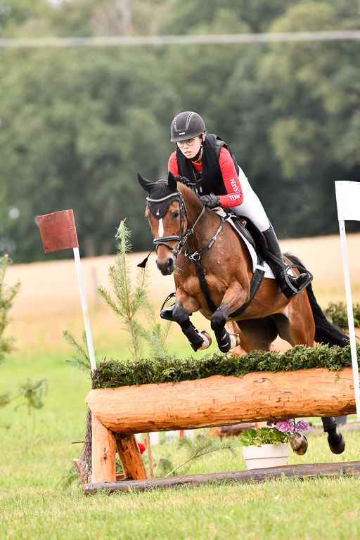 Goldene Schärpe Ponys in Hohenberg Krusemark 2024 | 13072024 Gelände 1 Abt_076 