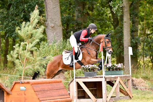 Goldene Schärpe Ponys in Hohenberg Krusemark 2024 | 13072024 Gelände 1 Abt_079 