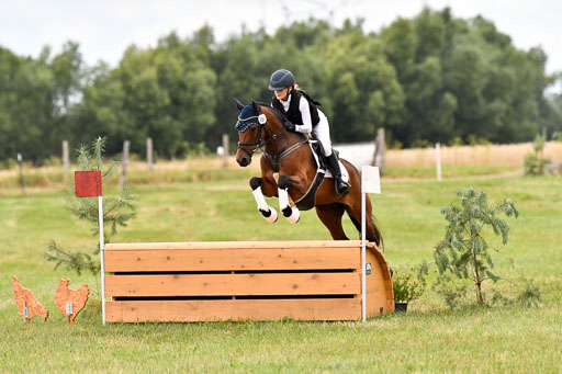 Goldene Schärpe Ponys in Hohenberg Krusemark 2024 | 13072024 Gelände 1 Abt_086 