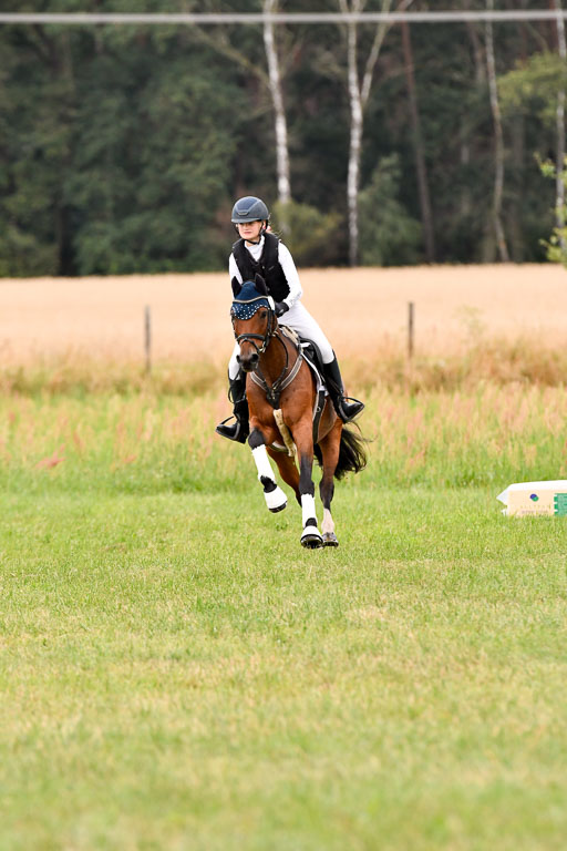Goldene Schärpe Ponys in Hohenberg Krusemark 2024 | 13072024 Gelände 1 Abt_088 