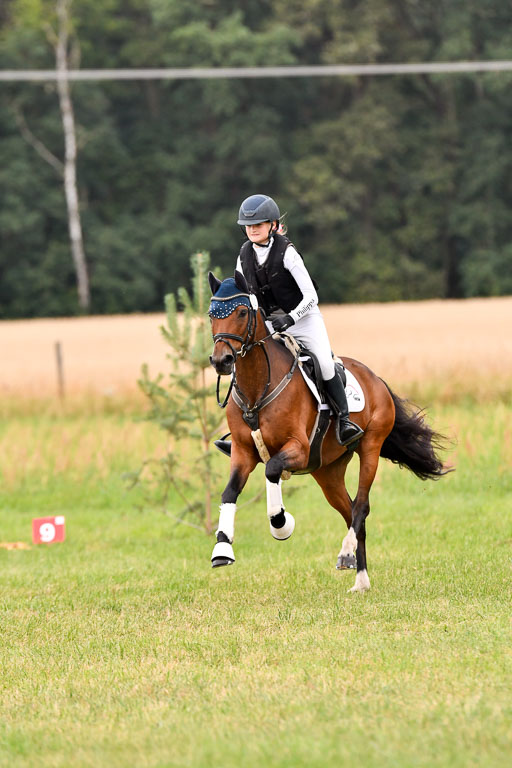 Goldene Schärpe Ponys in Hohenberg Krusemark 2024 | 13072024 Gelände 1 Abt_089 