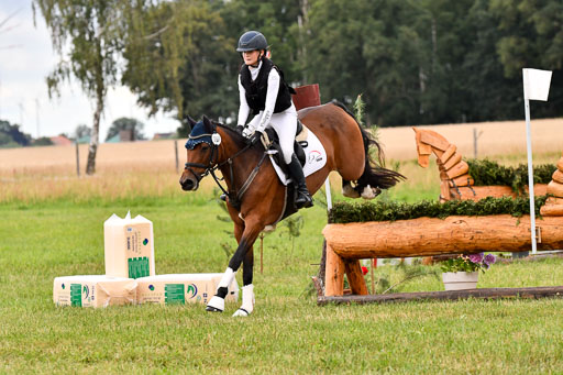 Goldene Schärpe Ponys in Hohenberg Krusemark 2024 | 13072024 Gelände 1 Abt_093 