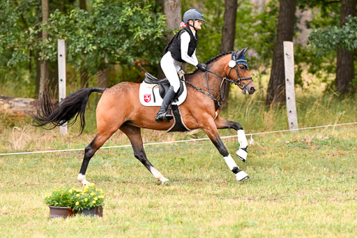 Goldene Schärpe Ponys in Hohenberg Krusemark 2024 | 13072024 Gelände 1 Abt_098 