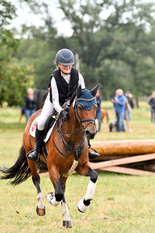 Goldene Schärpe Ponys in Hohenberg Krusemark 2024 | 13072024 Gelände 1 Abt_105 