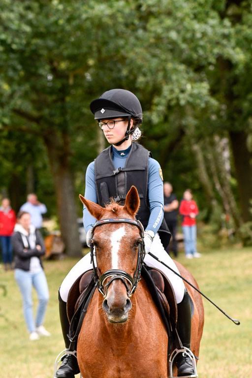 Goldene Schärpe Ponys in Hohenberg Krusemark 2024 | 13072024 Gelände 1 Abt_107 