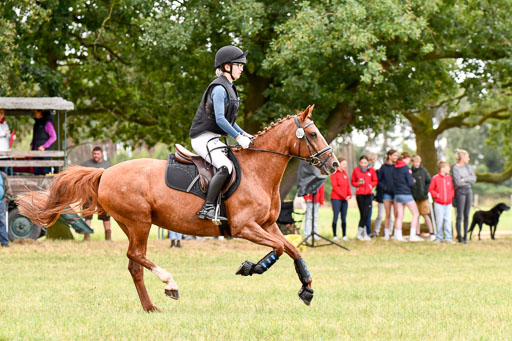 Goldene Schärpe Ponys in Hohenberg Krusemark 2024 | 13072024 Gelände 1 Abt_108 