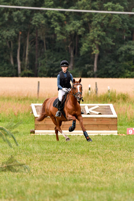 Goldene Schärpe Ponys in Hohenberg Krusemark 2024 | 13072024 Gelände 1 Abt_111 