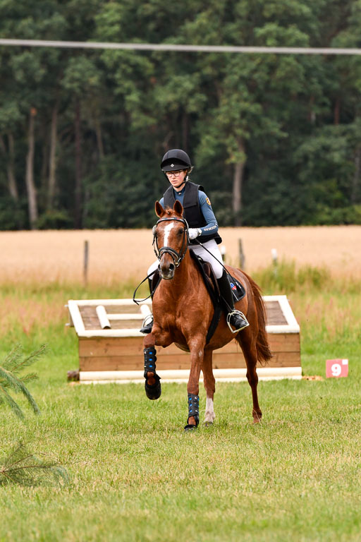 Goldene Schärpe Ponys in Hohenberg Krusemark 2024 | 13072024 Gelände 1 Abt_112 