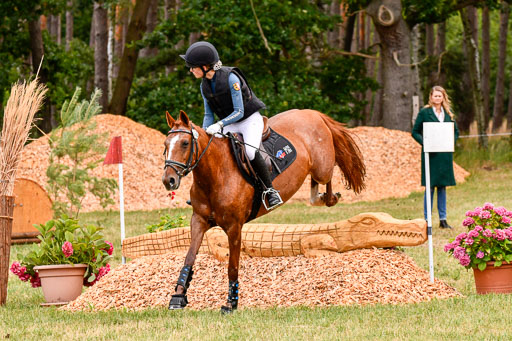 Goldene Schärpe Ponys in Hohenberg Krusemark 2024 | 13072024 Gelände 1 Abt_119 