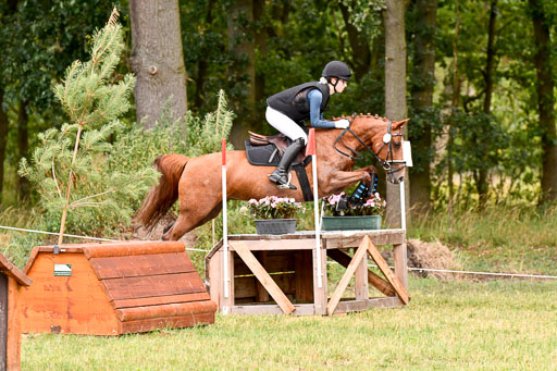 Goldene Schärpe Ponys in Hohenberg Krusemark 2024 | 13072024 Gelände 1 Abt_120 