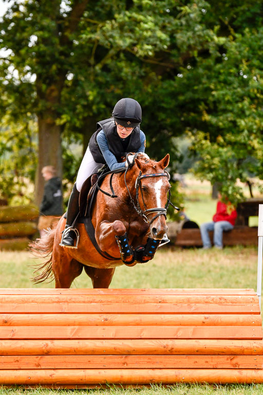 Goldene Schärpe Ponys in Hohenberg Krusemark 2024 | 13072024 Gelände 1 Abt_121 