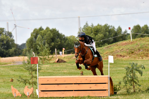 Goldene Schärpe Ponys in Hohenberg Krusemark 2024 | 13072024 Gelände 1 Abt_127 