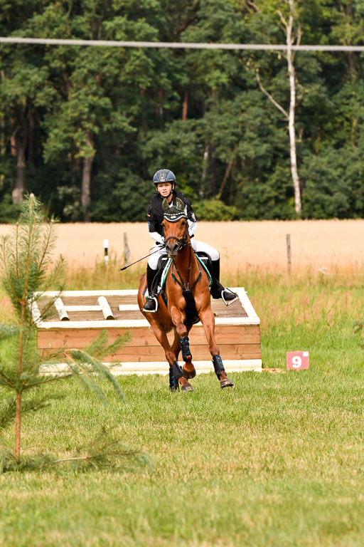 Goldene Schärpe Ponys in Hohenberg Krusemark 2024 | 13072024 Gelände 1 Abt_128 