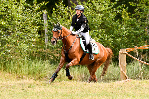 Goldene Schärpe Ponys in Hohenberg Krusemark 2024 | 13072024 Gelände 1 Abt_131 