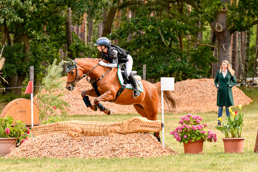 Goldene Schärpe Ponys in Hohenberg Krusemark 2024 | 13072024 Gelände 1 Abt_132 