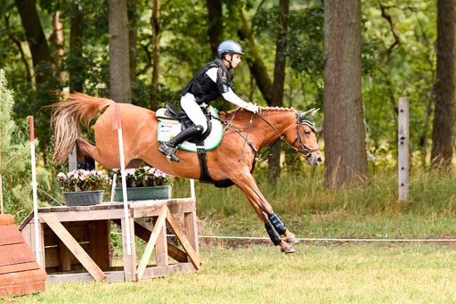 Goldene Schärpe Ponys in Hohenberg Krusemark 2024 | 13072024 Gelände 1 Abt_134 