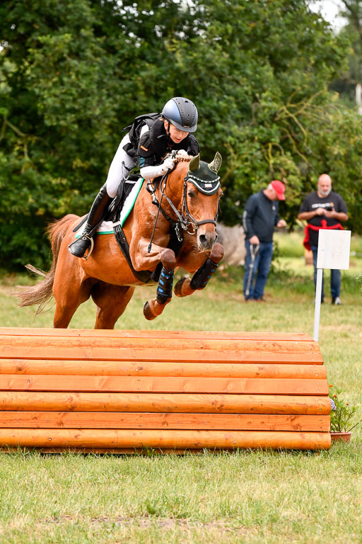 Goldene Schärpe Ponys in Hohenberg Krusemark 2024 | 13072024 Gelände 1 Abt_136 