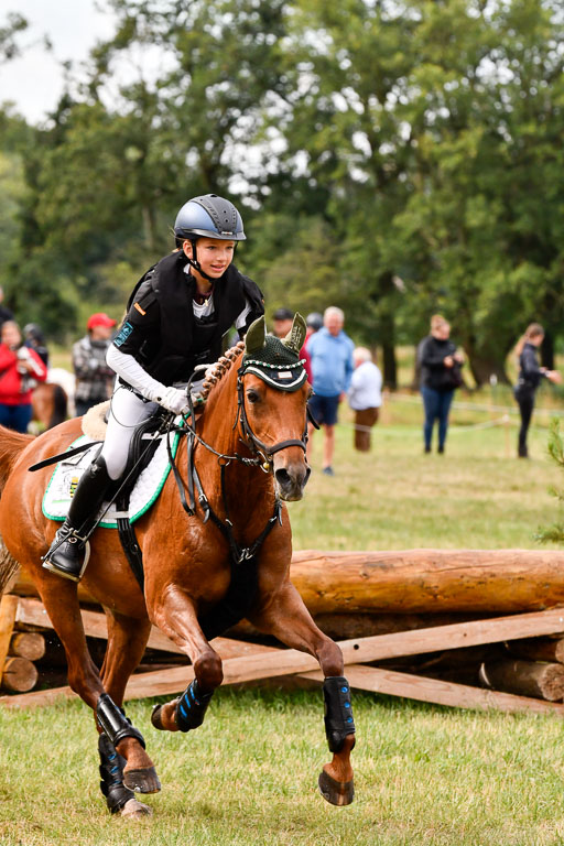 Goldene Schärpe Ponys in Hohenberg Krusemark 2024 | 13072024 Gelände 1 Abt_138 
