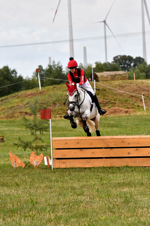 Goldene Schärpe Ponys in Hohenberg Krusemark 2024 | 13072024 Gelände 1 Abt_143 