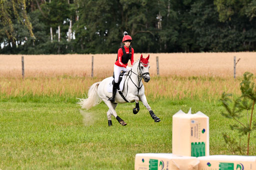 Goldene Schärpe Ponys in Hohenberg Krusemark 2024 | 13072024 Gelände 1 Abt_144 