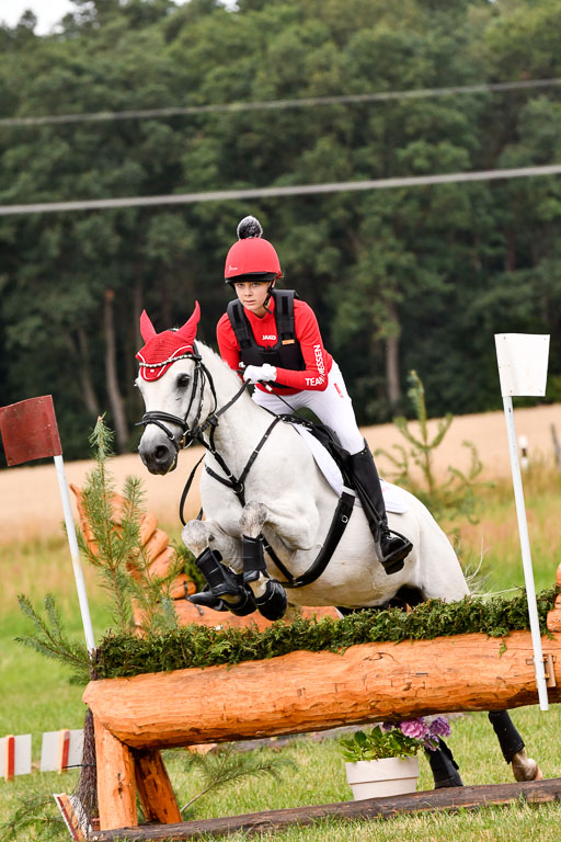 Goldene Schärpe Ponys in Hohenberg Krusemark 2024 | 13072024 Gelände 1 Abt_145 