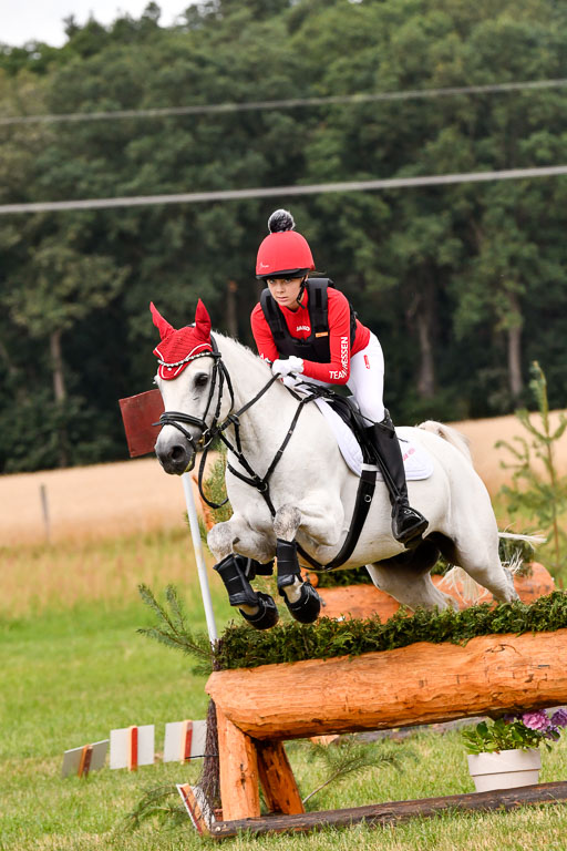 Goldene Schärpe Ponys in Hohenberg Krusemark 2024 | 13072024 Gelände 1 Abt_146 