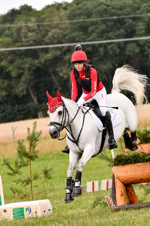 Goldene Schärpe Ponys in Hohenberg Krusemark 2024 | 13072024 Gelände 1 Abt_147 