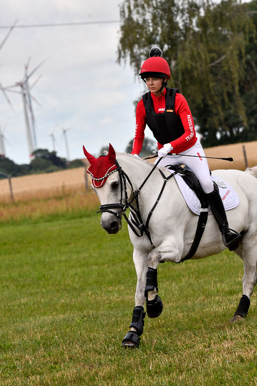 Goldene Schärpe Ponys in Hohenberg Krusemark 2024 | 13072024 Gelände 1 Abt_148 
