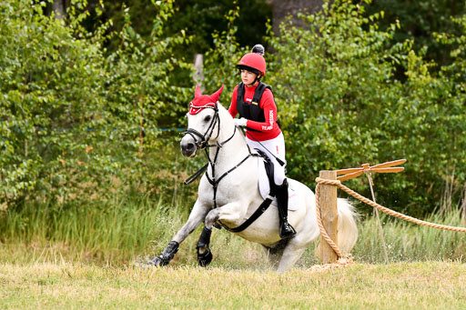 Goldene Schärpe Ponys in Hohenberg Krusemark 2024 | 13072024 Gelände 1 Abt_149 