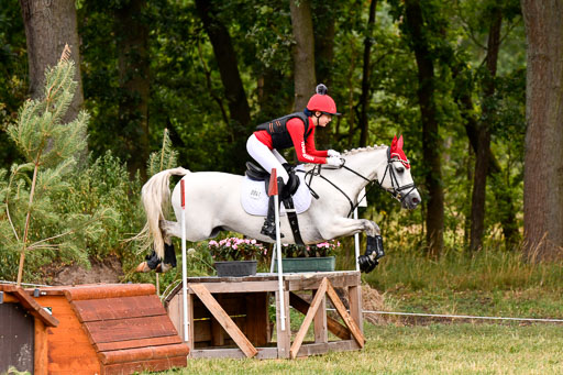 Goldene Schärpe Ponys in Hohenberg Krusemark 2024 | 13072024 Gelände 1 Abt_153 
