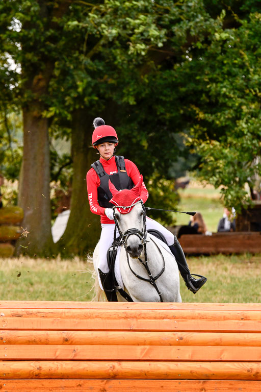 Goldene Schärpe Ponys in Hohenberg Krusemark 2024 | 13072024 Gelände 1 Abt_154 