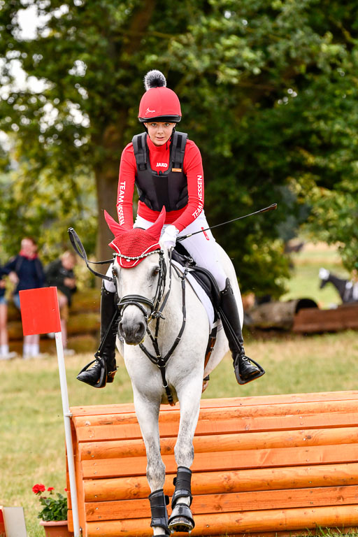 Goldene Schärpe Ponys in Hohenberg Krusemark 2024 | 13072024 Gelände 1 Abt_157 