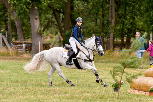Goldene Schärpe Ponys in Hohenberg Krusemark 2024 | 13072024 Gelände 1 Abt_159 