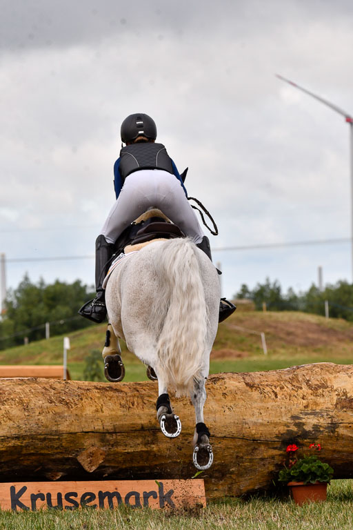 Goldene Schärpe Ponys in Hohenberg Krusemark 2024 | 13072024 Gelände 1 Abt_161 