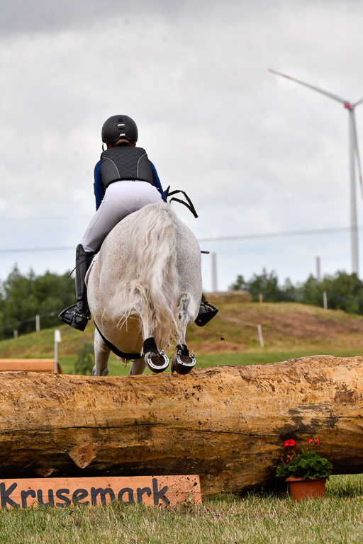 Goldene Schärpe Ponys in Hohenberg Krusemark 2024 | 13072024 Gelände 1 Abt_162 