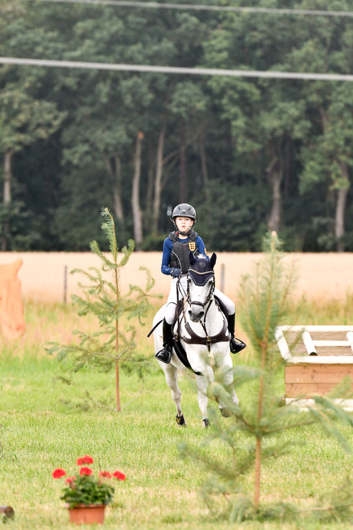 Goldene Schärpe Ponys in Hohenberg Krusemark 2024 | 13072024 Gelände 1 Abt_163 