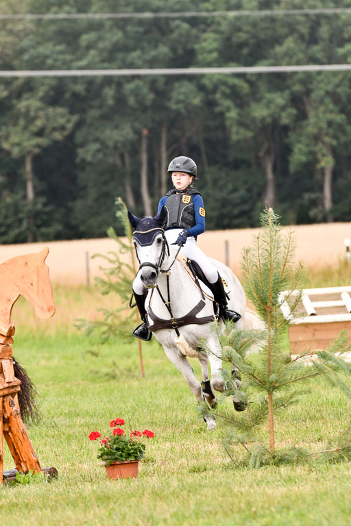 Goldene Schärpe Ponys in Hohenberg Krusemark 2024 | 13072024 Gelände 1 Abt_164 