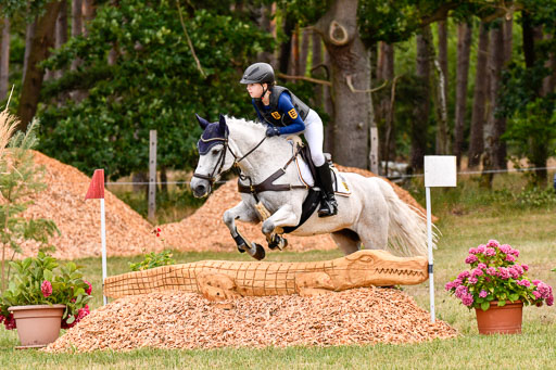 Goldene Schärpe Ponys in Hohenberg Krusemark 2024 | 13072024 Gelände 1 Abt_167 