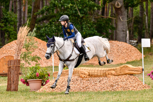 Goldene Schärpe Ponys in Hohenberg Krusemark 2024 | 13072024 Gelände 1 Abt_168 