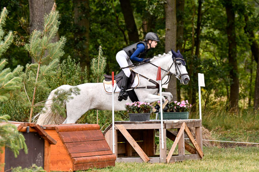 Goldene Schärpe Ponys in Hohenberg Krusemark 2024 | 13072024 Gelände 1 Abt_169 