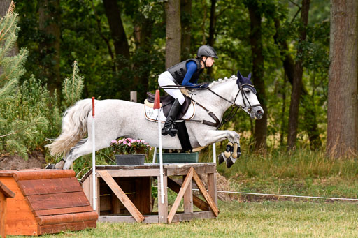 Goldene Schärpe Ponys in Hohenberg Krusemark 2024 | 13072024 Gelände 1 Abt_170 