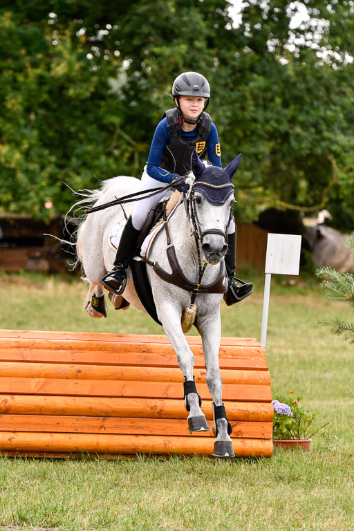 Goldene Schärpe Ponys in Hohenberg Krusemark 2024 | 13072024 Gelände 1 Abt_173 