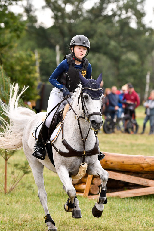 Goldene Schärpe Ponys in Hohenberg Krusemark 2024 | 13072024 Gelände 1 Abt_174 