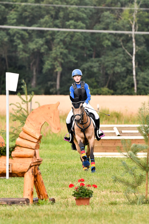 Goldene Schärpe Ponys in Hohenberg Krusemark 2024 | 13072024 Gelände 1 Abt_175 