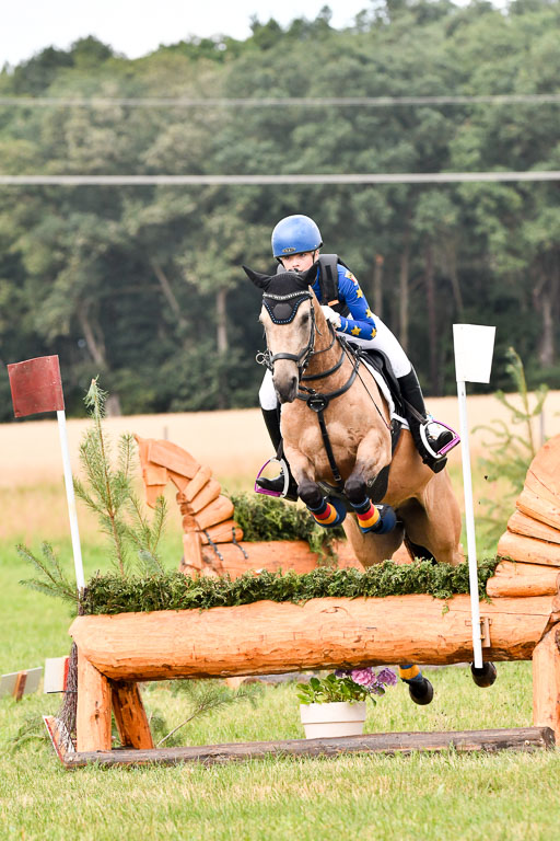Goldene Schärpe Ponys in Hohenberg Krusemark 2024 | 13072024 Gelände 1 Abt_176 