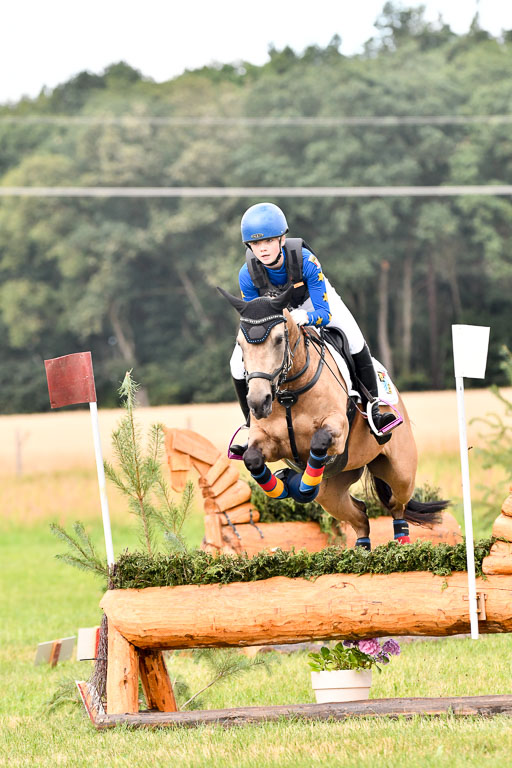 Goldene Schärpe Ponys in Hohenberg Krusemark 2024 | 13072024 Gelände 1 Abt_177 